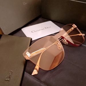 Dior Light Brown Shield Ladies Sunglasses